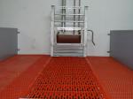 Kraamhokvloer (APA Flat floor) met onverwarmde biggennest