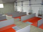 APA Flat floor roosters voor in kraamhok